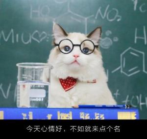 QQ 传说中的猫老师 真是呆萌啊