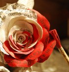 血色玫瑰也能这么美丽_一场无情的雨，打湿了你我的爱情。