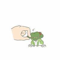 可爱青蛙插画头像